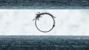 Könnten wir sie überhaupt verstehen? 