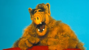 Da sind endlich wieder Haare im Thunfisch