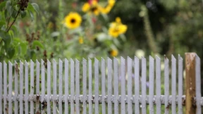 „Wenn man sich seit 20 Jahren kennt, ist es schwieriger, auf Dinge hinzuweisen, die einen stören“