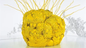 Wo steht Japans Kunst?