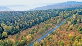 Wie der größte Vermögensverwalter der Welt in die Energiewende investiert