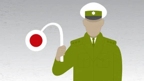 Heule, heule Gänschen