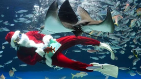 Wie Konzerne um den Nachwuchs buhlen