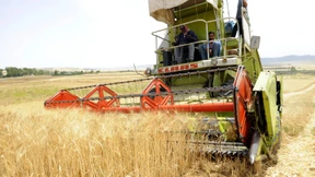 Deutsche Bank sollte Wetten auf Lebensmittel stoppen