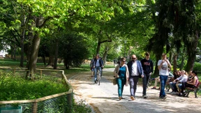 Frankfurt braucht mehr Bäume