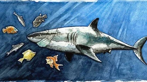 Kontaktverbot & Co mit Strafen erzwingen?