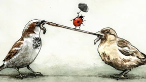 Nützliche Konkurrenz?