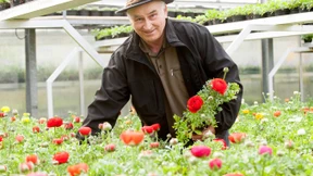 Hoffen auf das „Lachen des Frühlings“