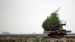 Dafür hätte ich was