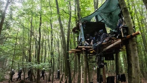 Baumhäuser gegen Autobahn