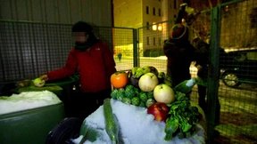 Frisches Obst aus dem Müll