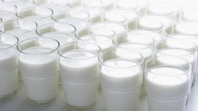 Die Milch macht’s!