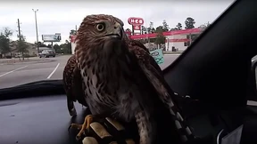 „Was soll ich jetzt mit ihm machen?“ 