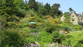 Schmaler Grat der wilden Schönheit