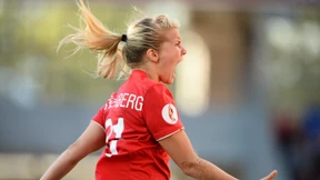 Skandinavisches Sommermärchen