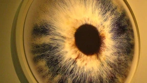 Die Glotze guckt zurück