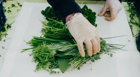 Grüne Soße in Gefahr