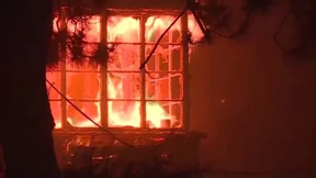 Waldbrände wüten in Kalifornien