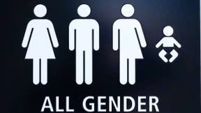 Die Überwindung des Fleisches