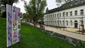 Duftendes Blumenmeer nach fünf aufreibenden Jahren