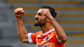 Wildes Spiel im Wildpark