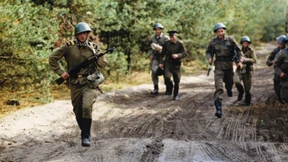 Die entfremdeten Brüder