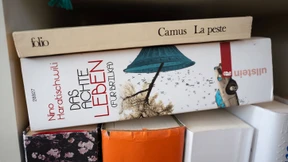 Alle lesen „Die Pest“