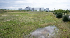 Der Sündenfall der Chipbranche