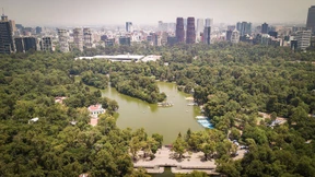 Auf der Suche nach etwas, worüber er schreiben konnte