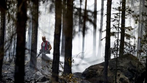 Waldbrand in Finnland zerstört 300 Hektar große Fläche