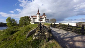 Von Kaffeetassen, Kiefern und Kanelbullar