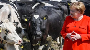 Merkel zeigt Verständnis für Milchbauern
