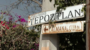 Wie eine Naturdroge gegen die Sucht helfen soll