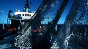 Europas Gewässer unter Strom