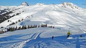 Im Reich des Fensterfriedens