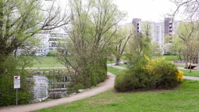 Autos und Müllcontainer gehen  in Flammen auf