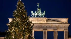 Wo die riesigen Weihnachtsbäume herkommen