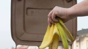 Kommunen wollen Biotonne grüner machen