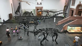 Kinderimpfung bei Senckenberg