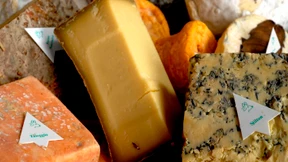 Wie aus Käse Gold wird