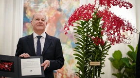 Orchidee nach Bundeskanzler benannt