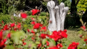 Der Palmengarten lädt zur Rosenblüte ein