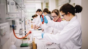 Allein die Leichen kosten 20.000 Euro mehr