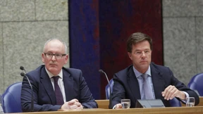 Rutte und das Bonsai-Bäumchen