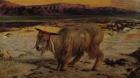 Wer ist der Bock für die Sünde?