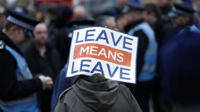 Der Ökonom Patrick Minford liebt den Brexit