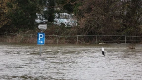 „Das größte Risiko ist, nicht versichert zu sein“
