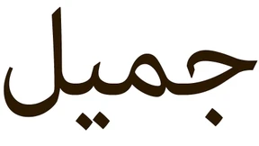 Der spricht doch gar nicht wie ein Syrer!