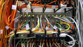 Offline nach Eichhörnchen-Biss 