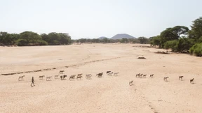 Neues Leben aus alten Wurzeln